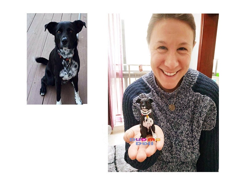 Custom bobblehead of a dog customise gift for pet cake topper dog custom Papillon Golden Retriever husky corgi Yorkshire Terrier